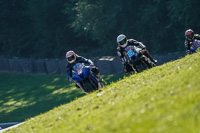 brands-hatch-photographs;brands-no-limits-trackday;cadwell-trackday-photographs;enduro-digital-images;event-digital-images;eventdigitalimages;no-limits-trackdays;peter-wileman-photography;racing-digital-images;trackday-digital-images;trackday-photos